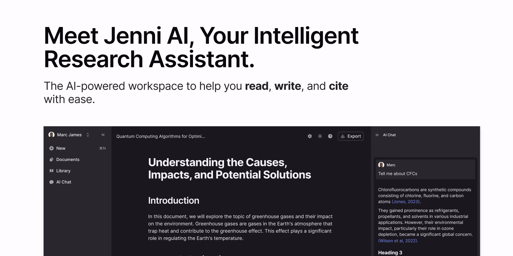 Wrizzle AI Official Preview